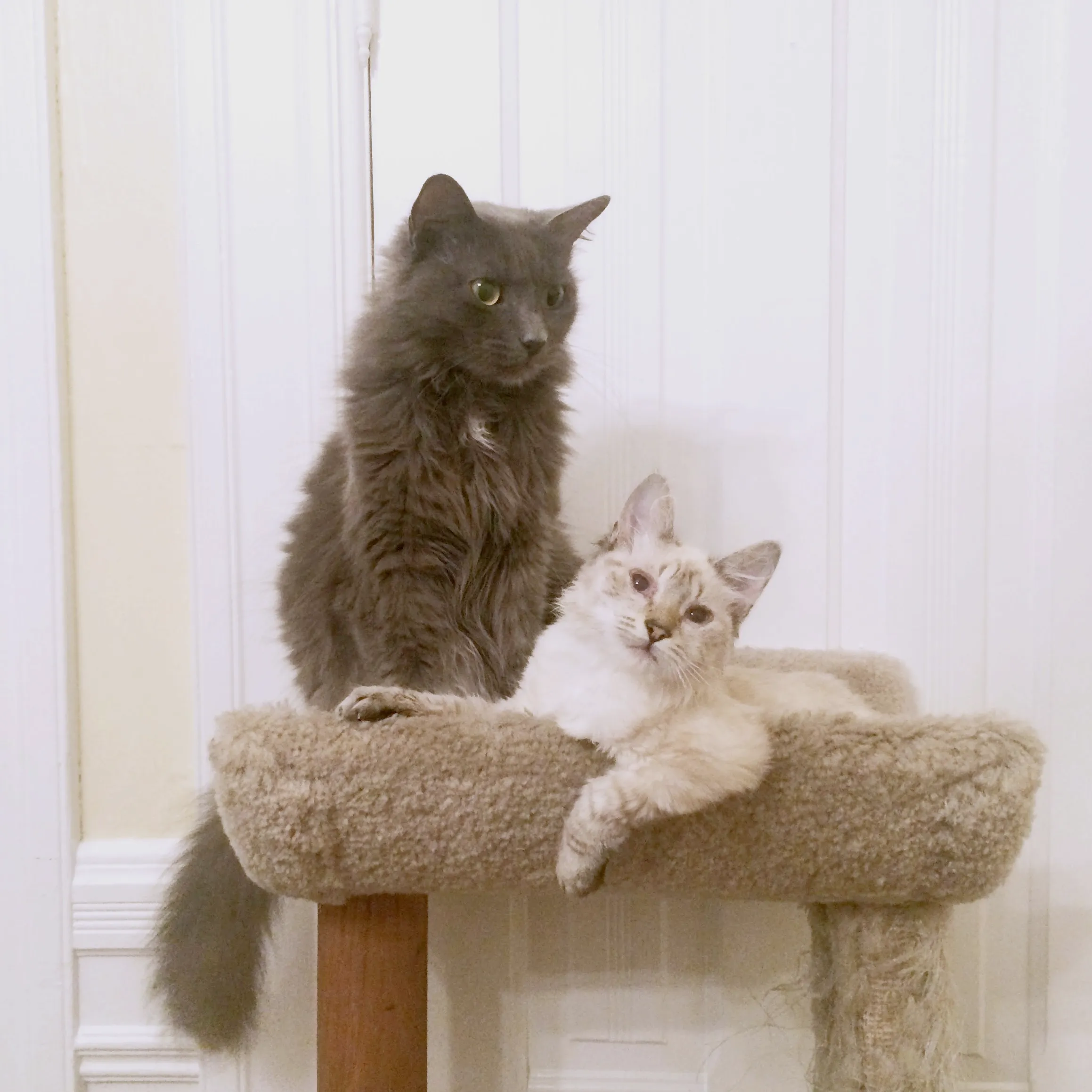 Pasted image 20250526204519.png