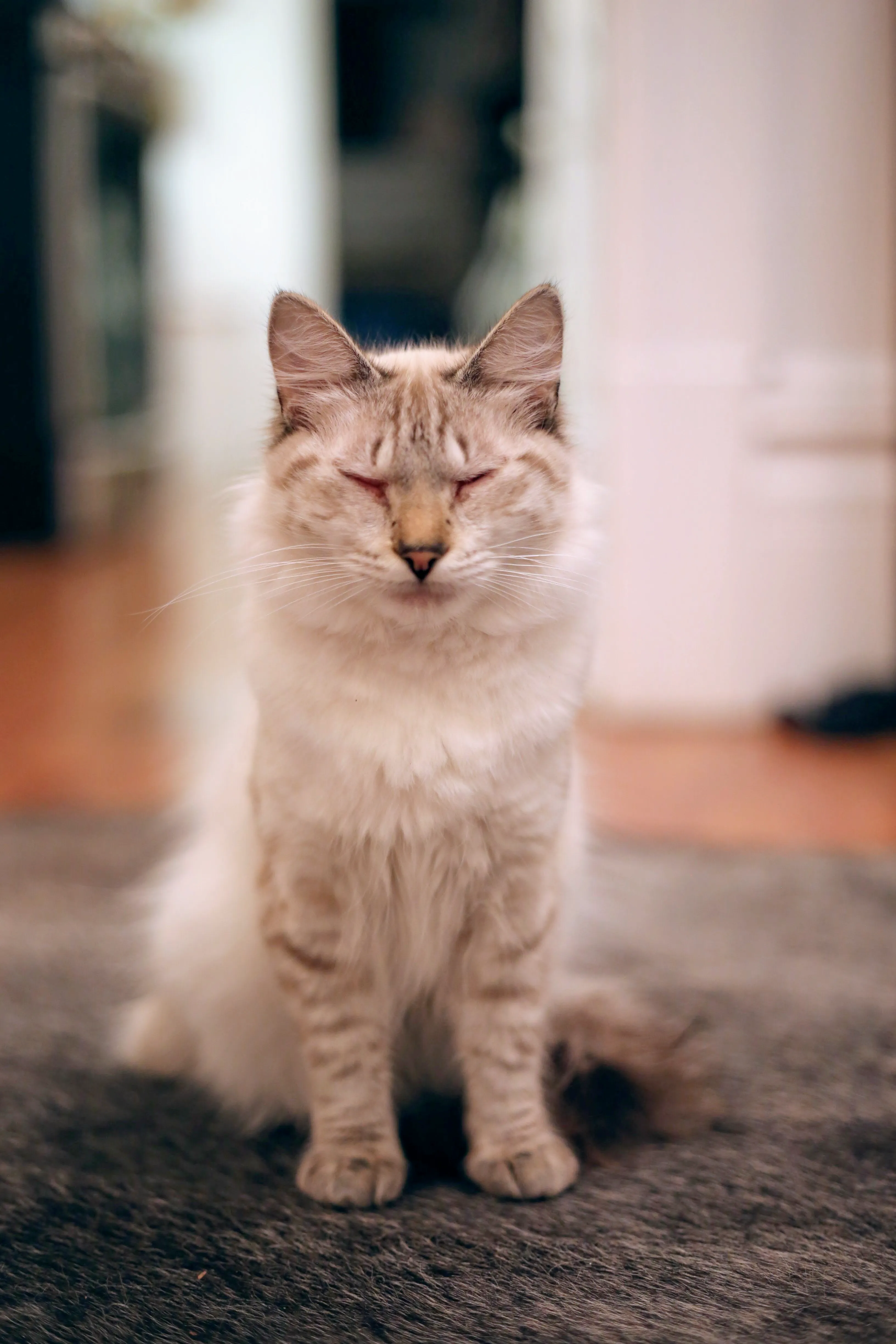 Pasted image 20250526204536.png