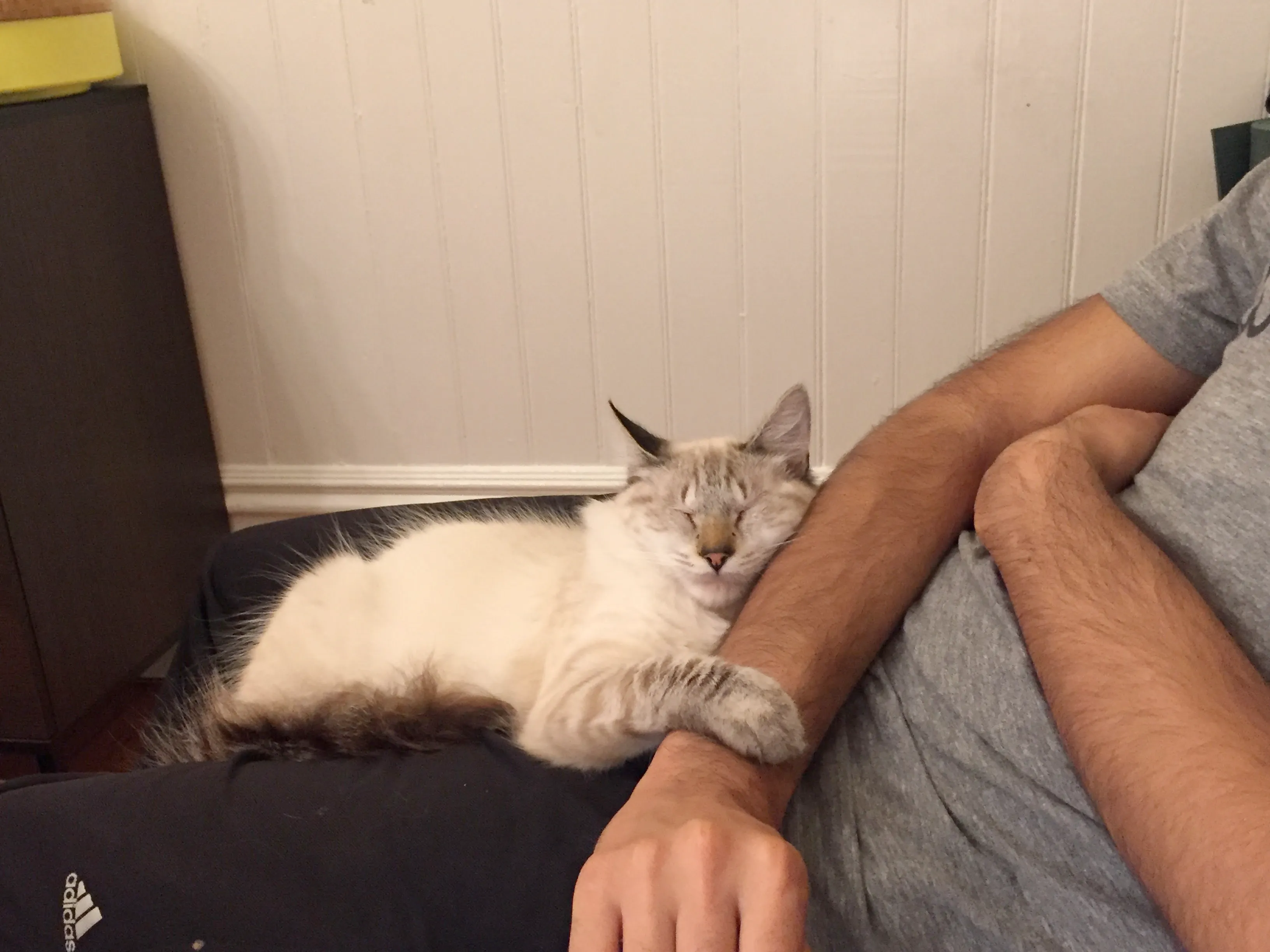 Pasted image 20250526211437.png